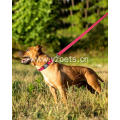 Reflective Walking Dog Lead